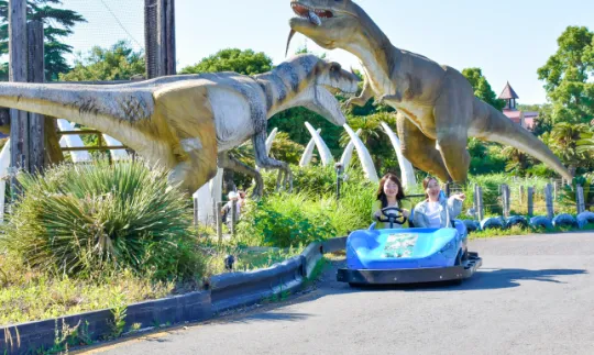 DINO AGE KART