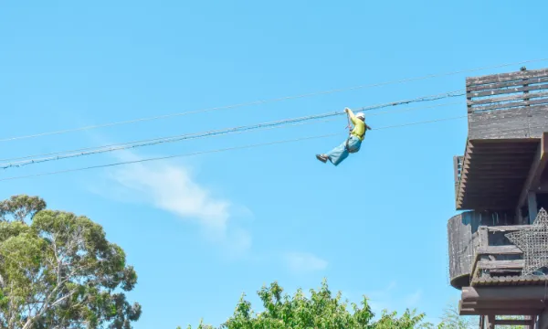 ZIP-LINE